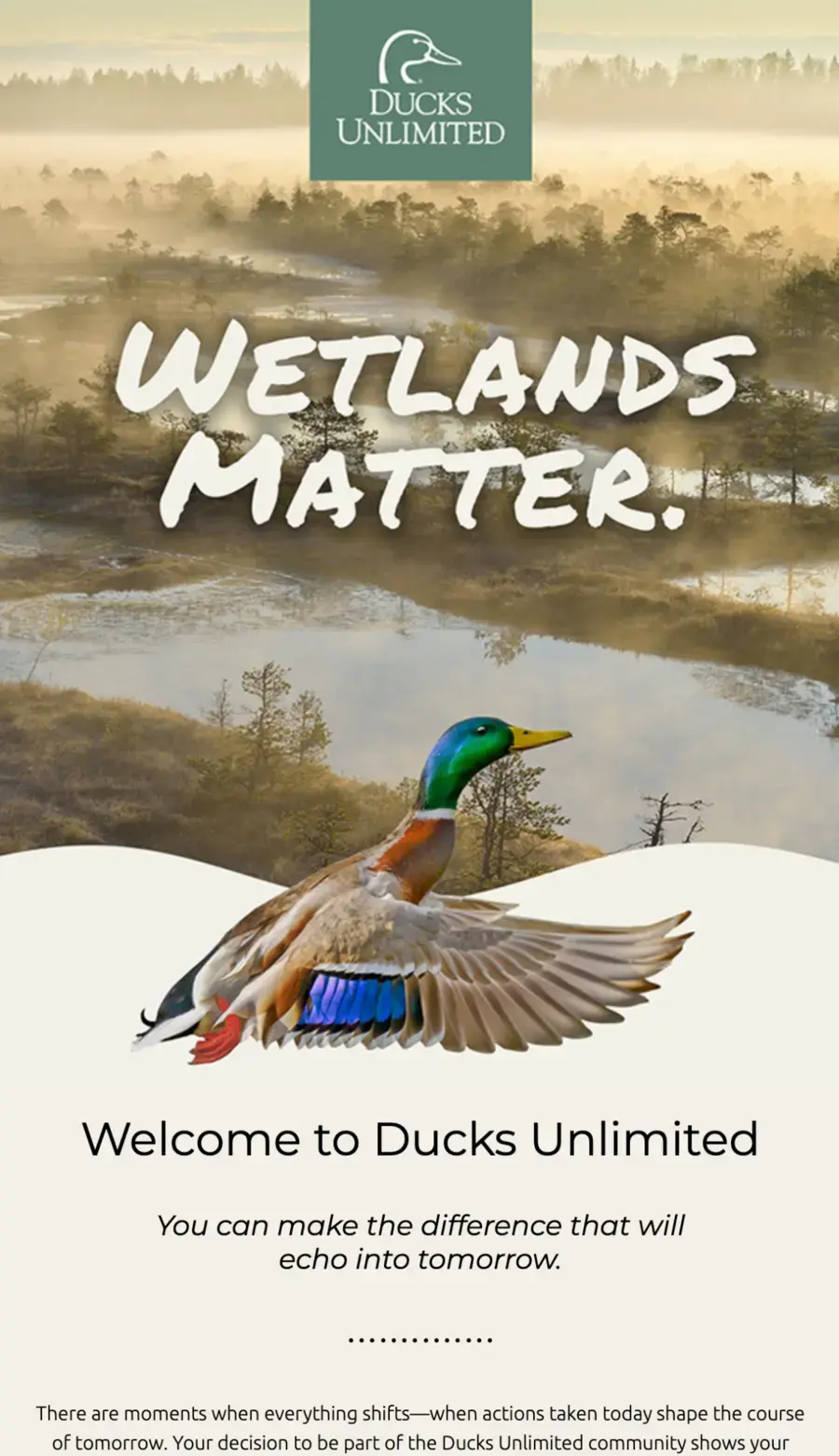 Ducks Unlimited newsletter rebuild